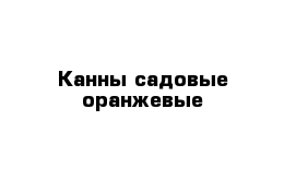 Канны садовые оранжевые